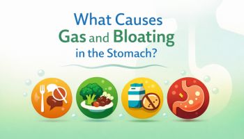 What Causes Gas and Bloating
